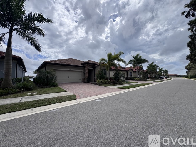 A street view of a residential area with houses and palm trees.