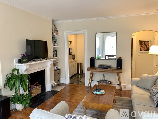 A living room with a fireplace and a television.