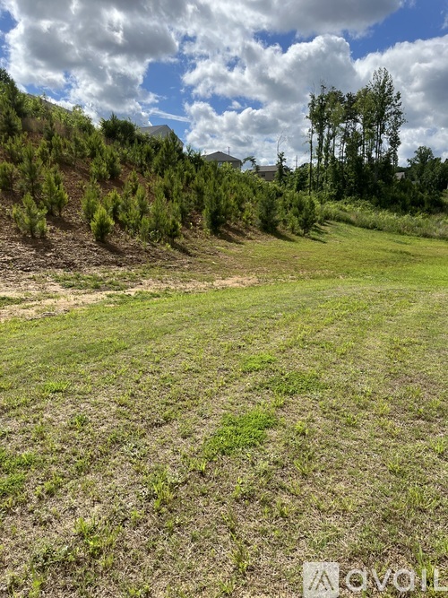 A grassy field with a hill and trees in the background.