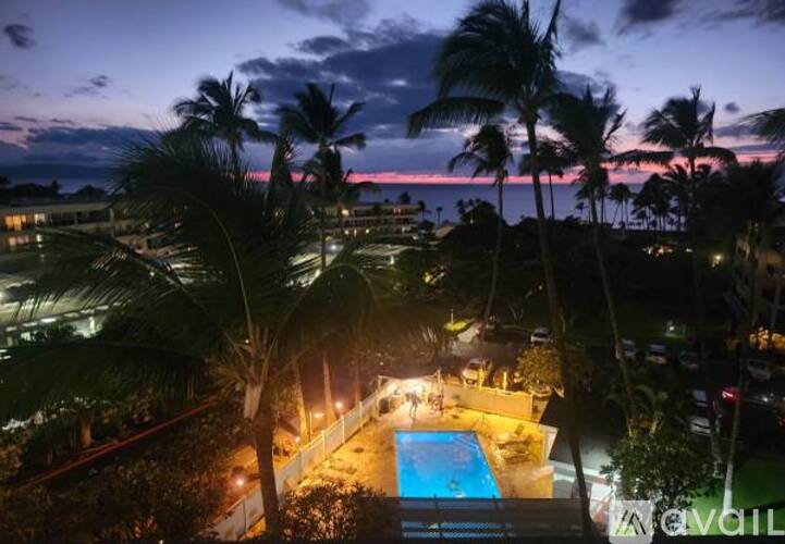 A pool surrounded by palm trees at dusk.