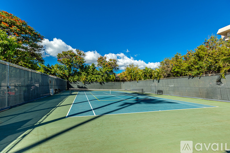 A tennis court surrounded by a fence and trees.