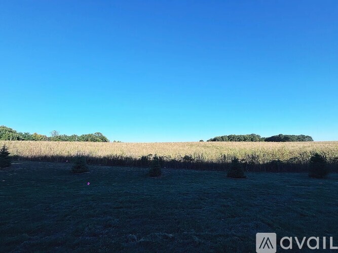A field with a clear blue sky and some trees in the distance.