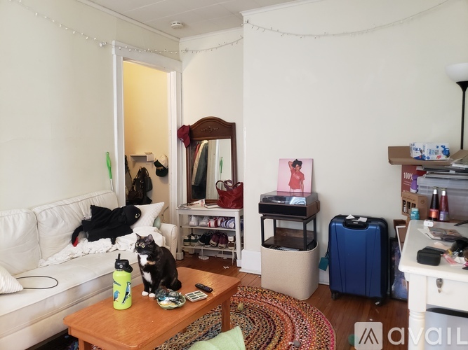 A cat sits on a table in a room with a white couch, a mirror, and a suitcase.