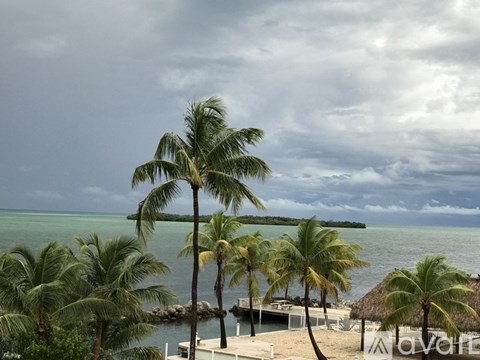 A view of a beach with palm trees and a cloudy sky.