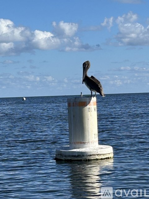 A pelican is perched on a white pillar in the water.