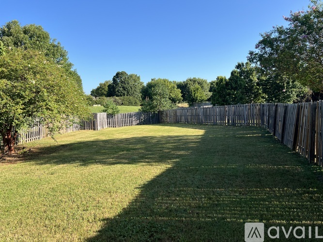 A backyard with a wooden fence and green grass.