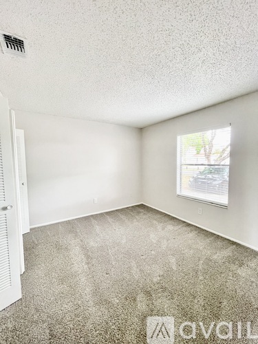 A room with a carpeted floor and a window showing a tree outside.