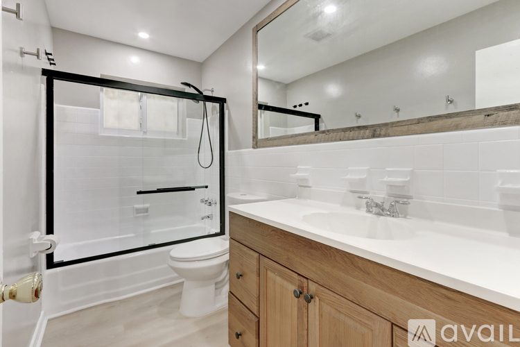 A bathroom with a white toilet, a walk-in shower, and a vanity with a mirror.