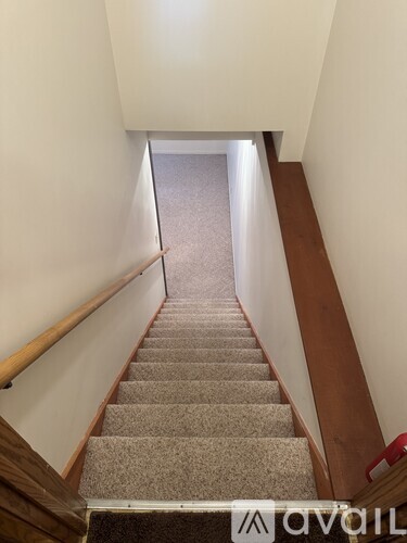 A staircase with a carpeted runner and wooden handrails.