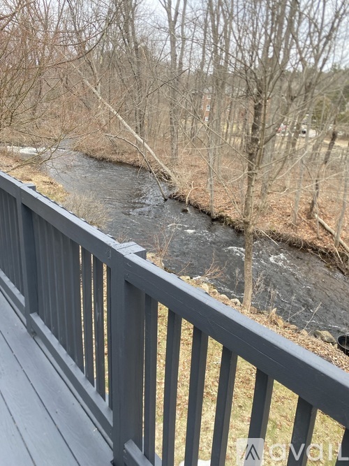 A river flows through a wooded area.