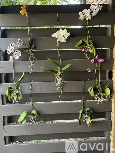 A wooden fence with hanging plants on it.