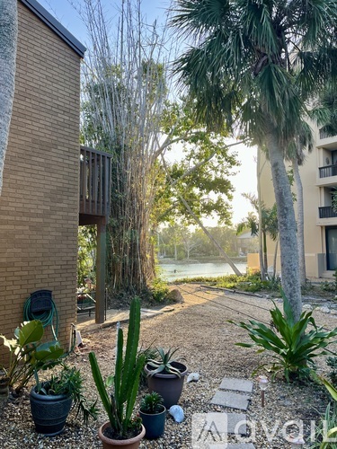 A garden with a variety of plants and a building in the background.