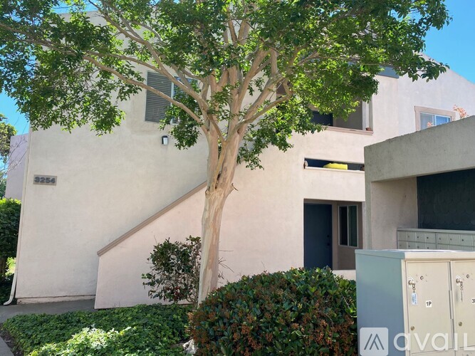A tree in front of a building with a sign that says "available".