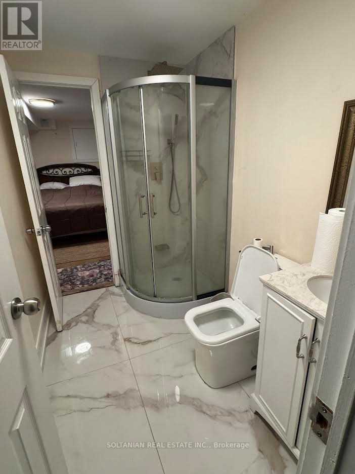 A bathroom with a walk in shower and toilet.