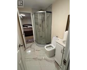 A bathroom with a walk in shower and toilet.