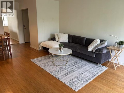 A living room with a grey rug and a grey sofa.