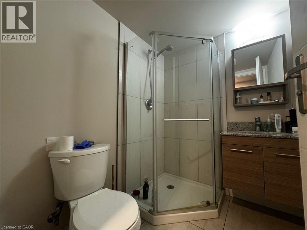 A bathroom with a toilet, a walk-in shower, and a vanity with a mirror.