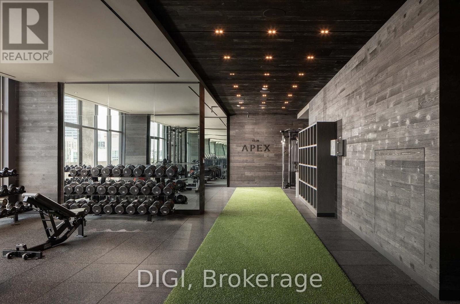A gym with weights and a green carpet.