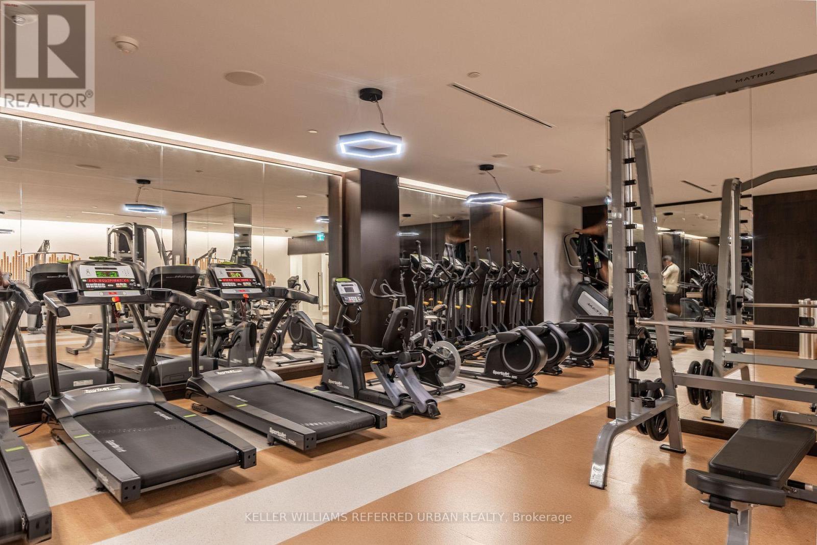 A gym with treadmills, weights and exercise machines.