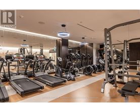 A gym with treadmills, weights and exercise machines.