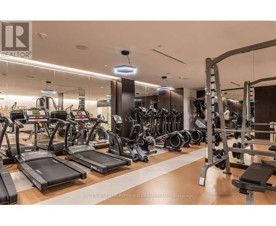 A gym with treadmills, weights and exercise machines.
