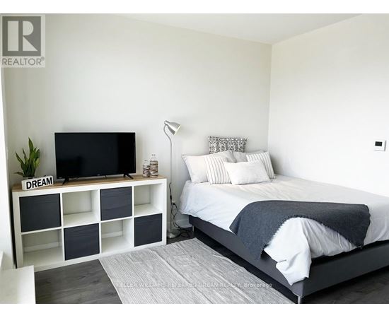 A bedroom with a bed, a television, and a plant.
