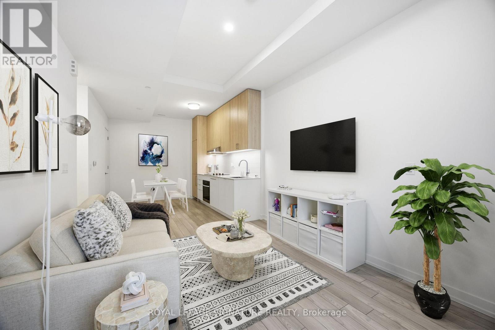 A living room with a grey sofa, a coffee table, a TV, and a potted plant.