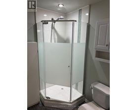 A glass shower stall with a white toilet next to it.