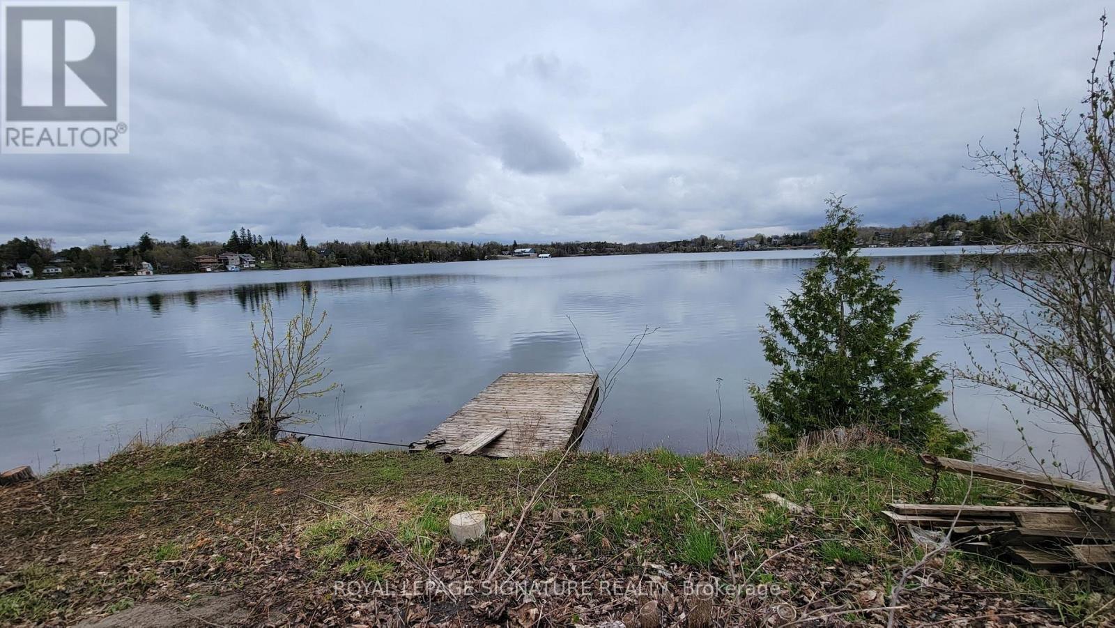 A body of water with a dock and a tree in the foreground.