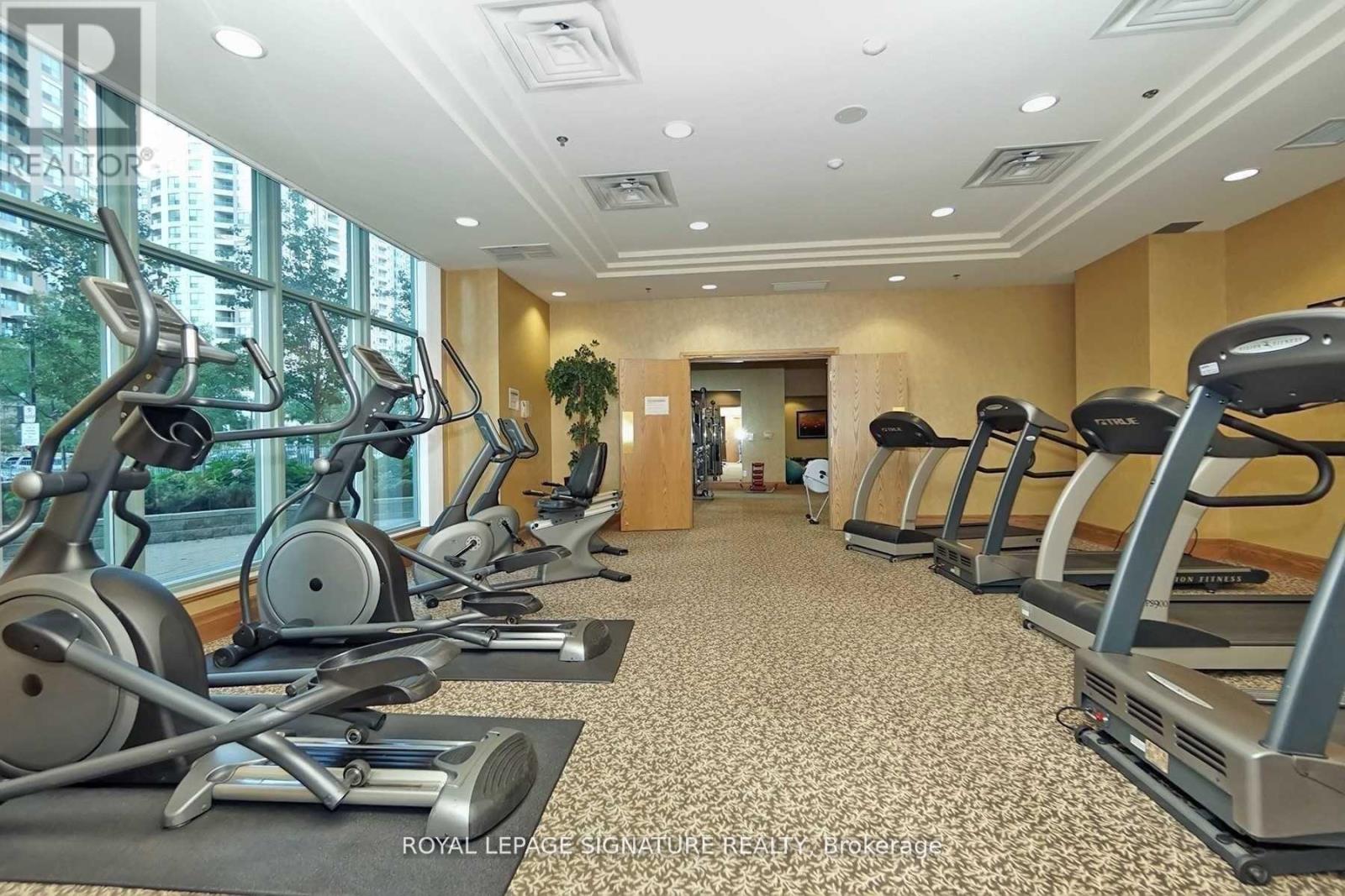 A gym with treadmills and elliptical machines.