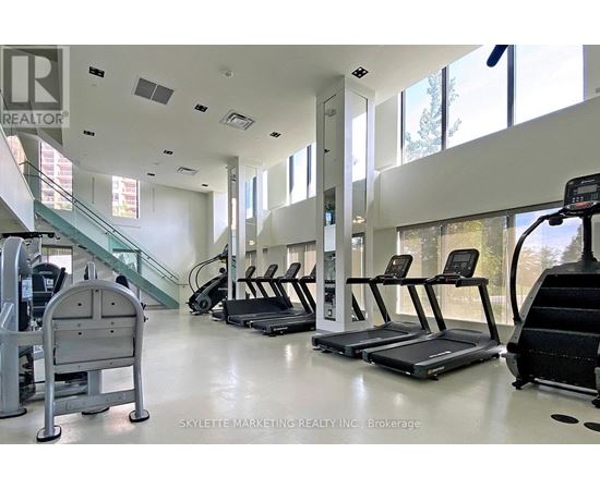 A gym with treadmills, elliptical machines, and a stair climber.