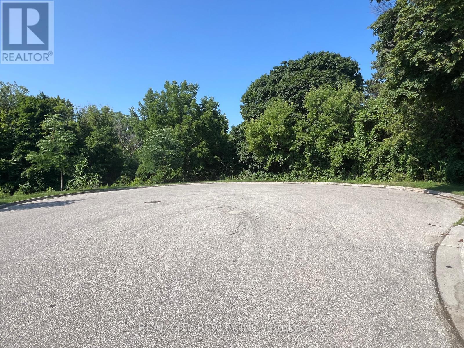 A large, empty parking lot with trees in the background.