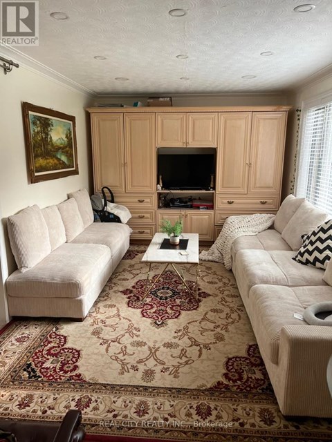 A living room with a rug and two couches.