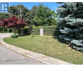 A green lawn with a mailbox and trees in the background.