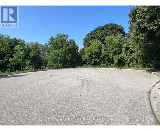 A large, empty parking lot with trees in the background.