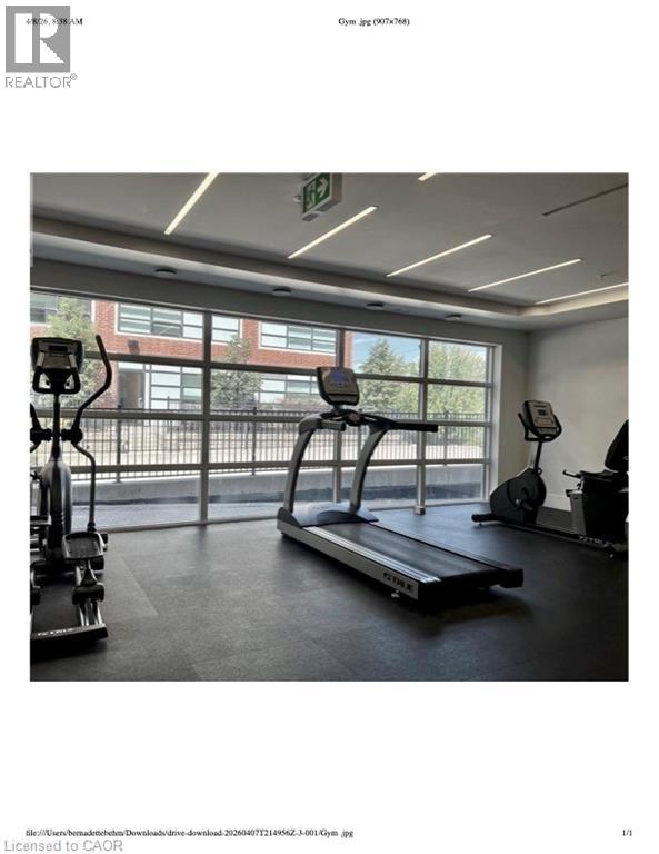 A gym with treadmills and elliptical machines.
