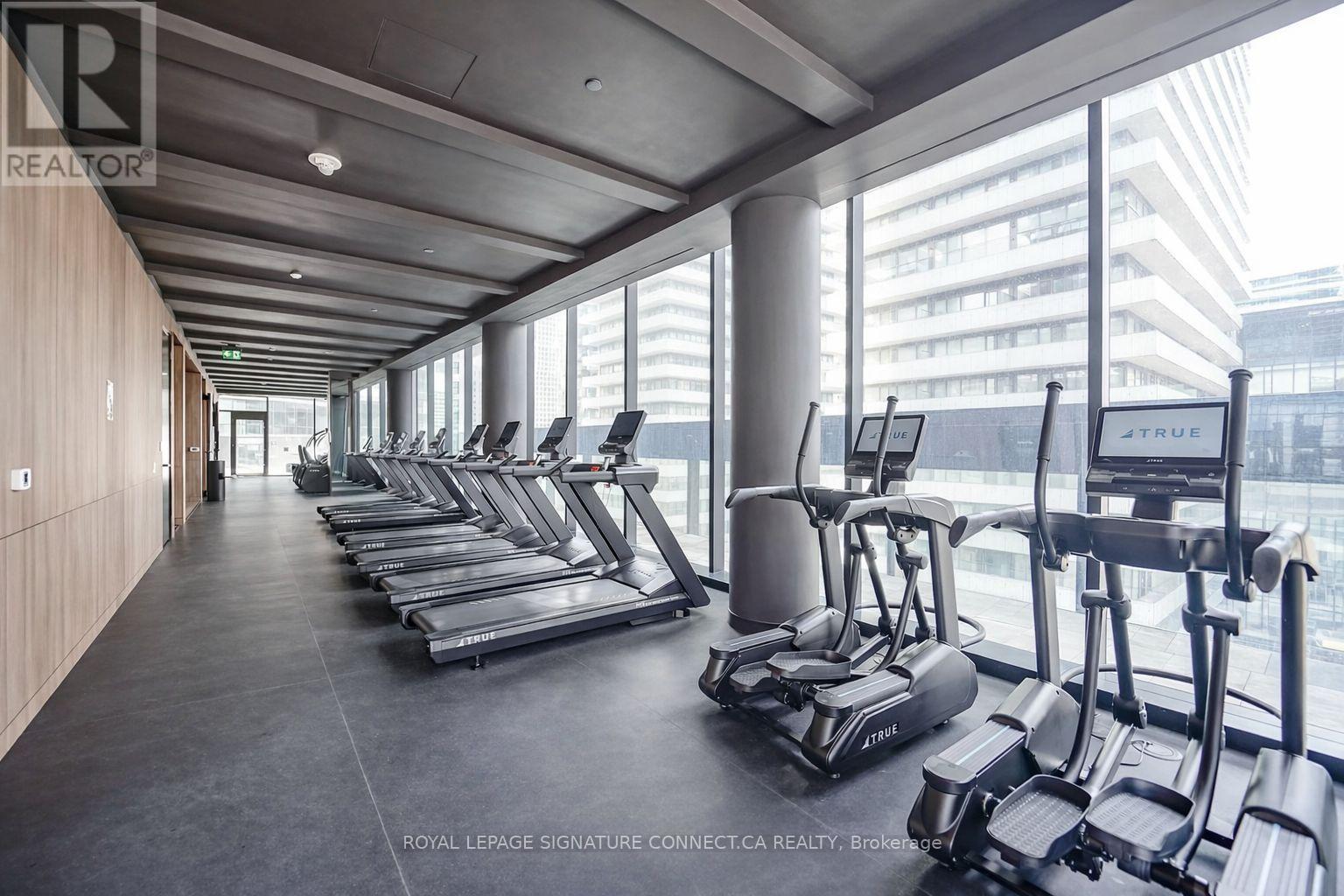 A gym with treadmills and a row of exercise bikes.