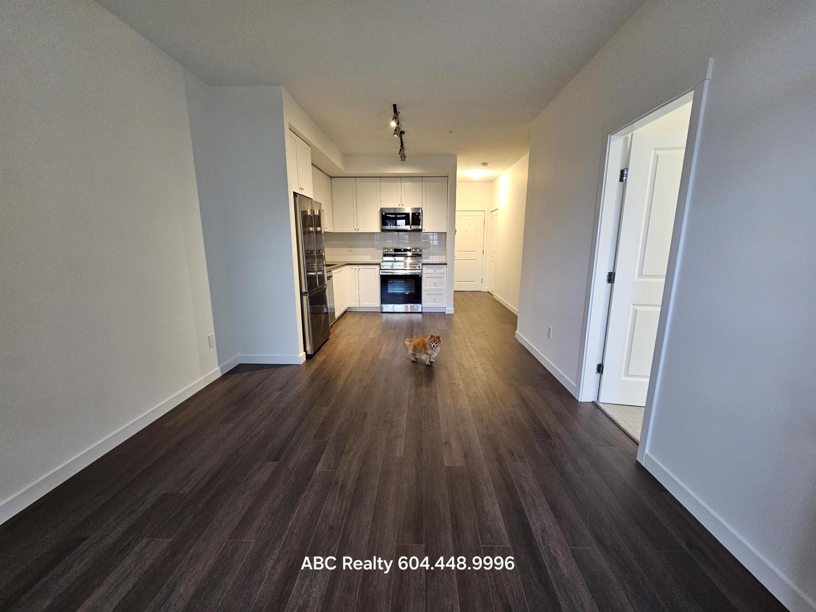 A dog is standing in the middle of a hallway with a kitchen in the background.