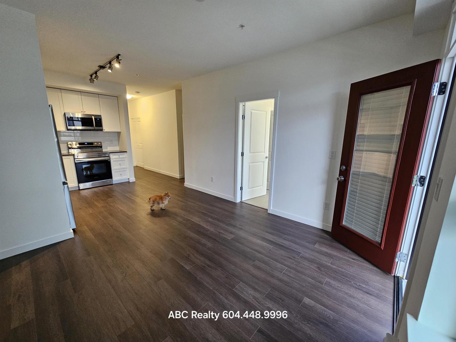 A cat is walking in a spacious room with wooden floors and white walls.