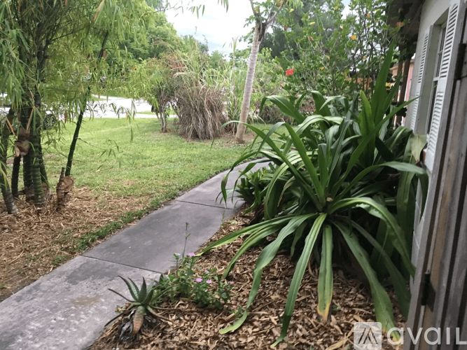 A garden with a concrete path and a variety of plants.