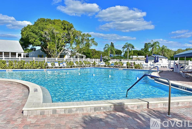 A large swimming pool with a brick edge and a metal ladder.