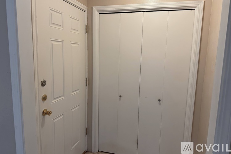 A white door with a gold handle is open to a white closet.