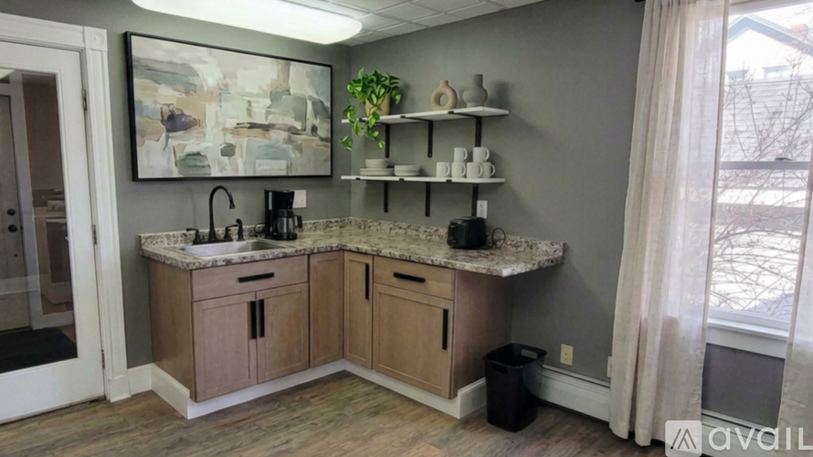 A kitchen with a sink and a counter with a plant on it.