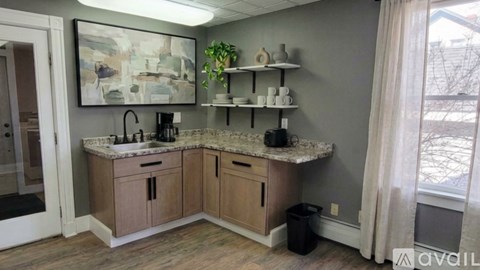 A kitchen with a sink and a counter with a plant on it.