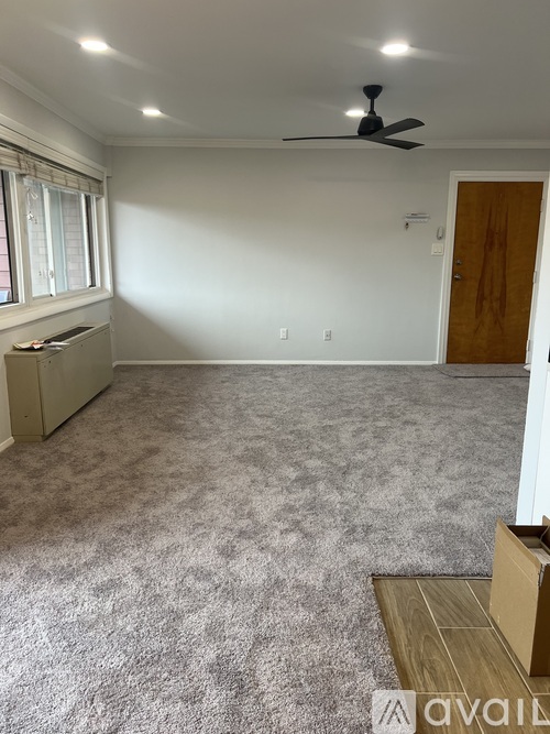 A room with a ceiling fan and a carpeted floor.