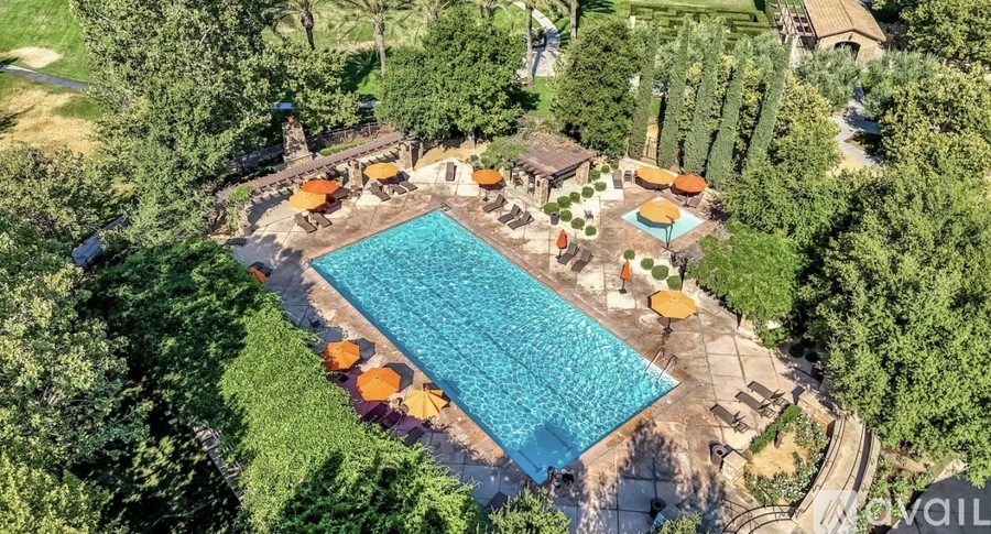 An aerial view of a swimming pool surrounded by trees and umbrellas.