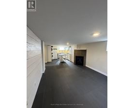 A spacious room with a fireplace and a dining table.