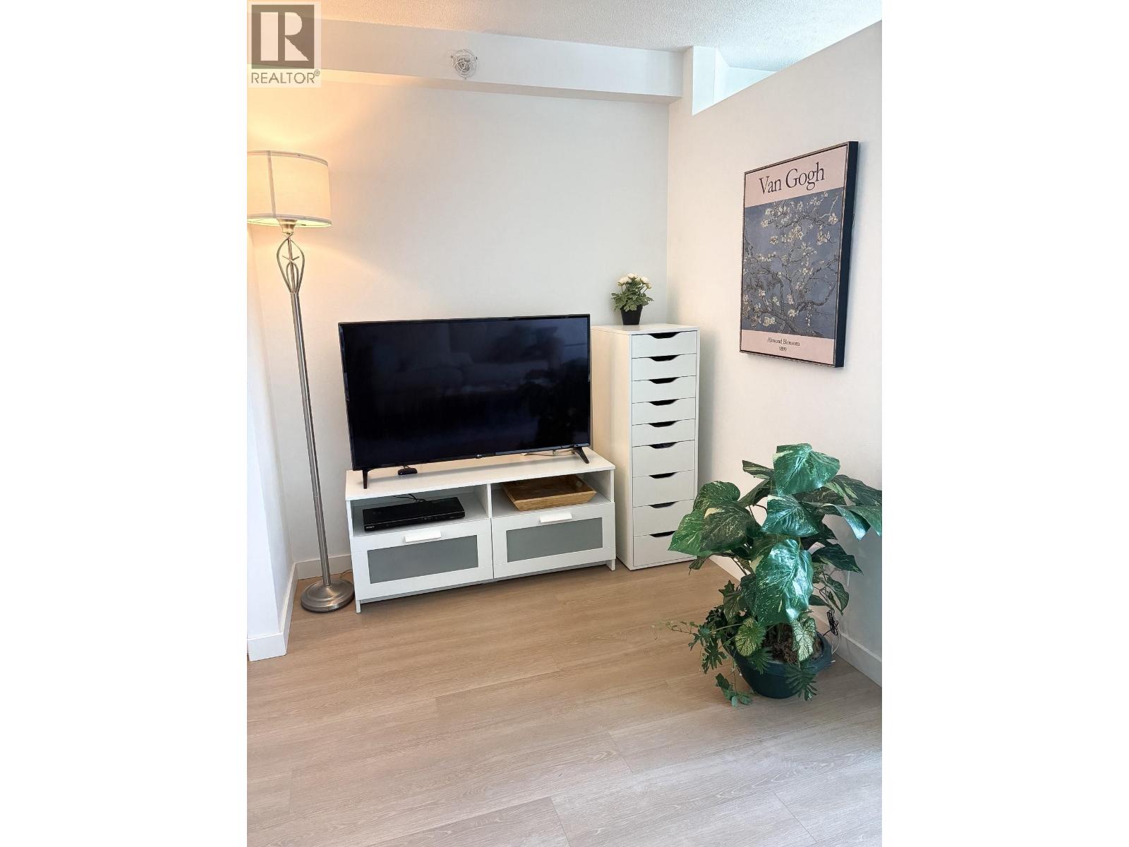 A living room with a television and a plant.