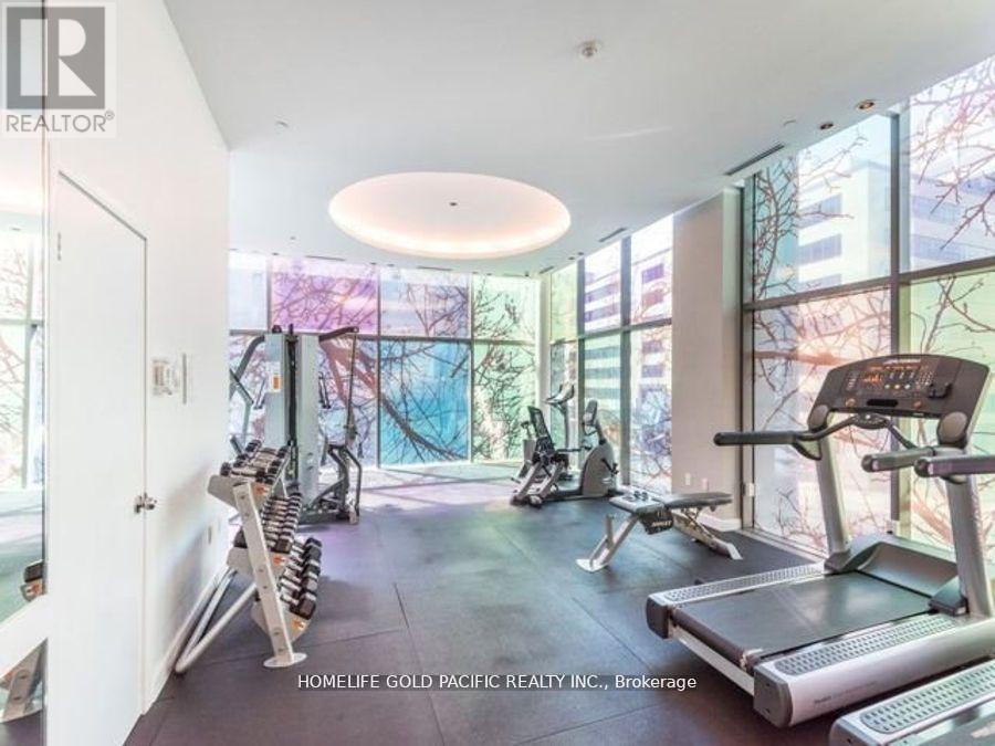 A gym with treadmills, weights and exercise bikes is shown.