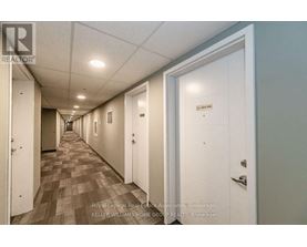 A long hallway with doors on both sides and a carpeted floor.